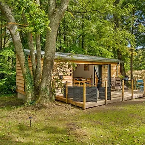 https://ivy-cottage-holiday-cabins.tophotelsbath.com